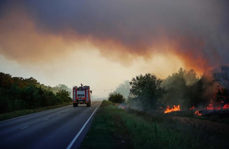 Узнавать о лесных пожарах оренбуржцы теперь могут через «Госуслуги»