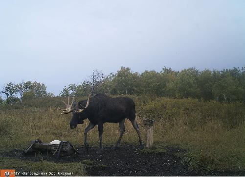 Осень постепенно вступает в свои права в заповедниках Оренбуржья