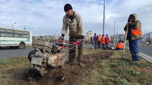 В Оренбурге на ул. Рокоссовского высадили сортовые тюльпаны