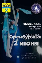 Фестиваль воздушной гимнастики пройдет в областном центре