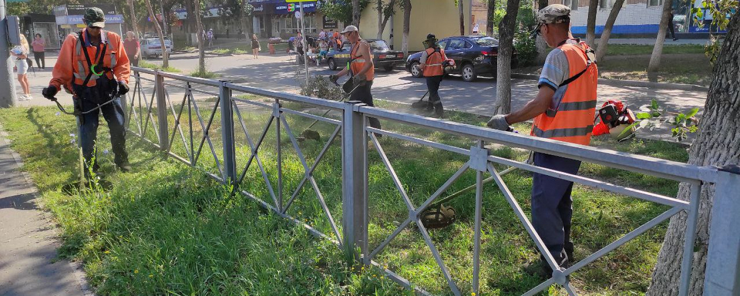 Оренбург: город в зелени, но без сорняков